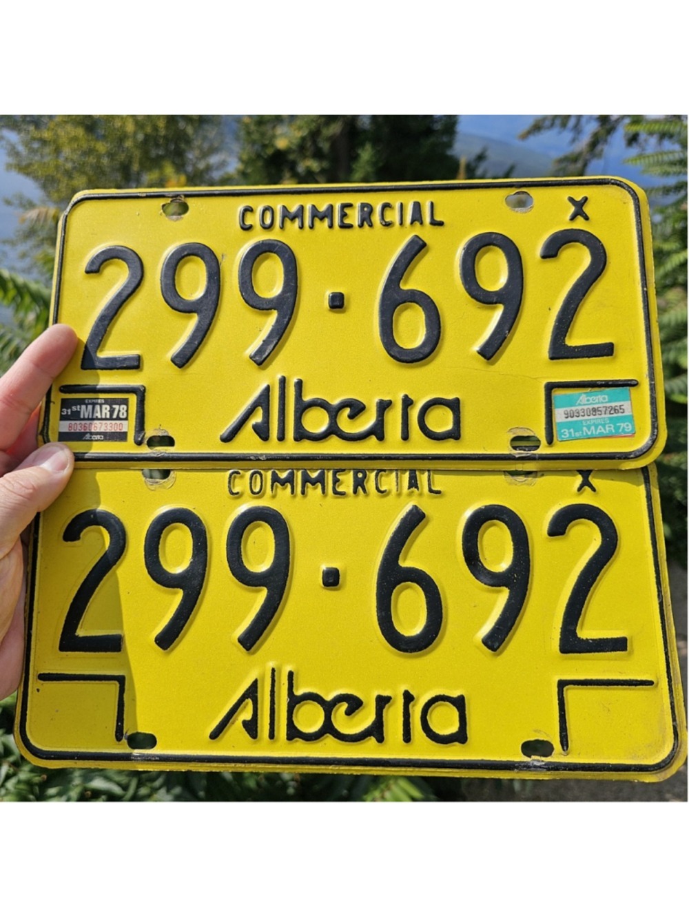 Vintage 1978-79 Alberta Commercial License Plate Pair 299-692 Restricted X